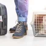 chien en cage pour voyager en avion